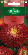 Nasiona i cebule - Vilmorin Aster chiński książęcy Zorza 0.5g - miniaturka - grafika 1