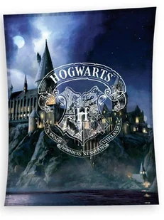 Carbotex koc 150x200 Harry Potter Hogwarth HP201065-KOC - Koce - miniaturka - grafika 2