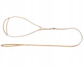 Smycze dla psów - Dingo Smycz Ringowa Ze Skóry 0,8x150 CM Natura - miniaturka - grafika 1