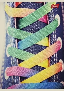 St. Majewski ZESZYT BAMBINO A4 32 KARTEK LINIA LAMINOWANY 02015 AP02015 - Zeszyty szkolne - miniaturka - grafika 3