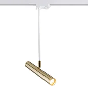 Lampy sufitowe - Amplex Reflektor LAMPA sufitowa AKADI 0148 metalowa OPRAWA do sysytemu szynowego biała złota __code-68614 - miniaturka - grafika 1