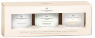 Świece - PLANTES&PARFUMS PROVENCE ZESTAW 3 Świec zapachowych perfumowanych - Kraina Podróży 900238 - miniaturka - grafika 1
