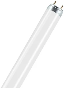 Osram TL-D 30 Watt 76 natura Food żywności (DIN 10504) Osram 30 W 999029615046 - Świetlówki Osram TL-D 30 Watt 76 natura Food żywności (DIN 10504) Osram 30 W 999029615046 - Świetlówki - miniaturka - grafika 1