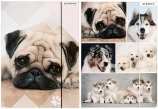 Starpak Teczka z gumką Pap A4 Pieski Fol 10/100 - Artykuły biurowe - miniaturka - grafika 2