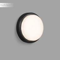 Lampy ogrodowe - Faro Barcelona Barcelona TomXL Lampa ścienna Siwy 1-punktowy Nowoczesny Obszar zewnętrzny TomXL Czas dostawy od 10-14 dni roboczych 70682 - miniaturka - grafika 1