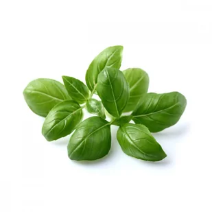 Click&Grow Kapsułki z nasionami Smart Soil 3 szt. bazylia 4742793007199 - Nasiona i cebule - miniaturka - grafika 5