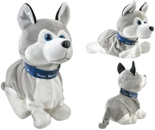 Iso Trade zabawka interaktywna Piesek - Zabawki interaktywne dla dzieci - miniaturka - grafika 6