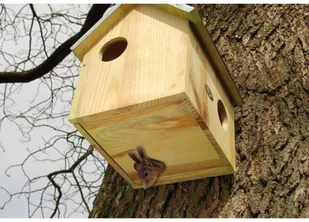 Esschert Design Domek dla wiewiórek WA10 Esschert Design - Akcesoria dla gryzoni - miniaturka - grafika 3