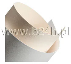 Galeria Papieru Papier ozdobny ARGO 230g. - kora biała (201501) - Papier do drukarek - miniaturka - grafika 2