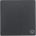 Wyłączniki światła i elektryczne - Berker ""KLAWISZ POJEDYNCZY """"ŚWIATŁO"""" ANTRACYT Q1 Q3 Q7 16206046"" - miniaturka - grafika 1