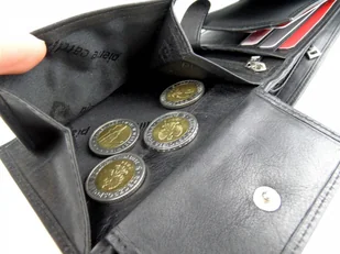 Pierre Cardin Portfel Męski Skórzany Skóra Licowa Poziomy Bez Zapięcia YS507.1 325 - Portfele - miniaturka - grafika 6