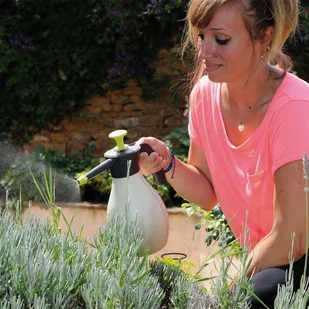 HOZELOCK Opryskiwacz ciśnieniowy Pure, 2 L, 4200 0000 - Opryskiwacze - miniaturka - grafika 4