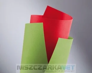 Galeria Papieru Papier ozdobny ARGO 220g. - Holland zielony - Papier do drukarek - miniaturka - grafika 2