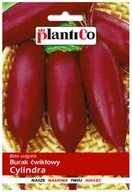 Nasiona i cebule - Plantico Burak ćwikłowy Cylindra 10g - miniaturka - grafika 1