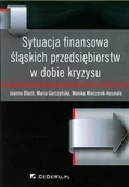 Finanse, księgowość, bankowość - Sytuacja finansowa śląskich przedsiębiorstw w dobie kryzysu - Joanna Błach, Maria Gorczyńska, Monika Wieczorek-Kosmala - miniaturka - grafika 1