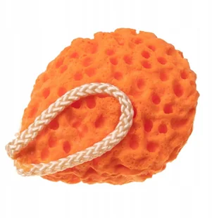 Thermobaby Nakładka na WC ze stopniem niebieska - Nocniki - miniaturka - grafika 46