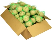 Przysmaki dla ptaków - Turdus 100 sztuk. Kule tłuszczowe, pokarm dla ptaków na zimę. - miniaturka - grafika 1