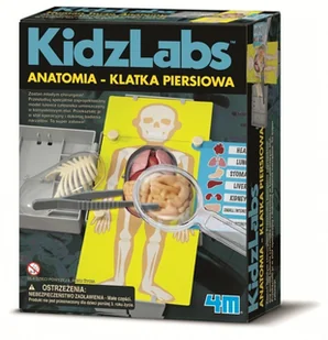 4M KidzLabs Anatomia klatka piersiowa 3373 - Mały naukowiec - miniaturka - grafika 5