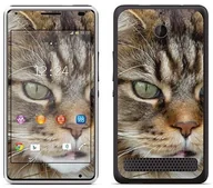 Etui i futerały do telefonów - Sony Royal Sticker Royal tatuaż ścienny RS. 74129 samoprzylepny do Xperia E1 z motywem Mistigri RS.74129 - miniaturka - grafika 1