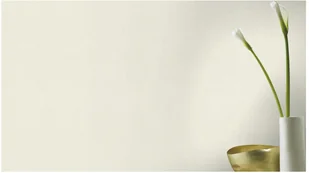 RASCH Tapeta Sparkling 898231 10,05x0,53/Tapeta Winylowa Na Podłużu Flizelinowym/GAT 1 - Tapety - miniaturka - grafika 3