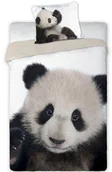 Pościel - FO Pościel Bawełniana Panda 11371 - miniaturka - grafika 1