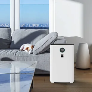 BOLD Oczyszczacz UV-C Sander wysokość 79 cm - Dezynfekcja - miniaturka - grafika 5