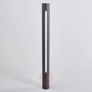 Lampenwelt com Ciemnoszary słupek oświetleniowy LED Tomas - Lampy ogrodowe - miniaturka - grafika 4