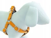 Szelki dla psów - Szelki dla psa beżowe z ekoskóry 1cm x 25 - 40cm - miniaturka - grafika 1