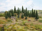 Kolejki i akcesoria - Noch Jodły 5-14cm / 10szt. Noch 26930 - miniaturka - grafika 1