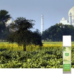 Kala KALA Chanti Drzewo sandałowe 100ml perfumy dla domu AA033KLA - Zapachy do domu - miniaturka - grafika 2