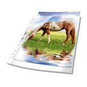 Ofertówki - Durable Koszulki 80 mic. A4 50 szt. 2677-19 - miniaturka - grafika 1