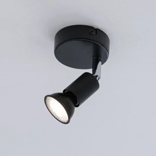 Paulmann Carolina kinkiet - Lampy sufitowe - miniaturka - grafika 3