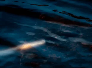 Fenix Latarka laserowa TK30 039-420 - Latarki - miniaturka - grafika 20