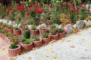 Joniec Gazon betonowy Moonflor DM 40 x 30 x 25 grafitowy / MoonflorDMczarny - Ogrodzenia - miniaturka - grafika 6