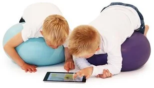 Insportline Trener równowagi Donut - IN7765-1 - Dyski i twistery - miniaturka - grafika 8