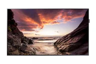 Monitory reklamowe i wyświetlacze - Samsung Smart Signage Display PH55F-P LH55PHFPMGC/EN - miniaturka - grafika 1