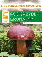 Nasiona i cebule - Podgrzybek Brunatny grzyby leśne Grzybnia mikoryza - miniaturka - grafika 1