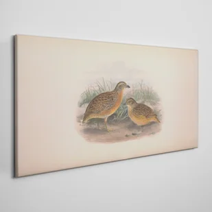 PL Coloray Obraz na Płótnie Ptaki Zwierzęta 100x50cm - Obrazy i zdjęcia - miniaturka - grafika 5