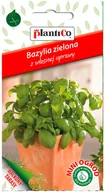Nasiona i cebule - Plantico Bazylia zielona Mini Ogród - miniaturka - grafika 1