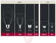 Żarówki LED - Paulmann Globe LED E27 G125 Inner Shape 4W złota - miniaturka - grafika 1