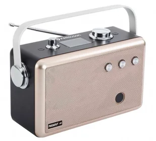 Ferguson Regent P1 (LV234_LV003O) - Radia - miniaturka - grafika 2