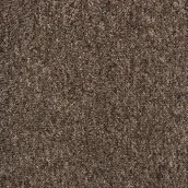 Wykładziny - Volunteer Brązowy - miniaturka - grafika 1