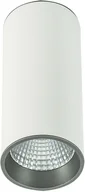 Lampy sufitowe - Italux Downlight LAMPA sufitowa MOLDES SLC7392/12W 3000K WH+GR spot OPRAWA LED 12W metalowa TUBA plafon biała szara - miniaturka - grafika 1