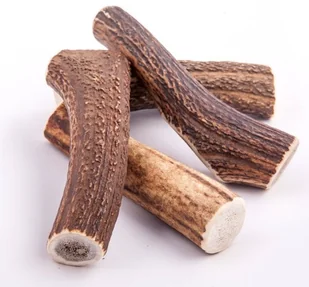 4Dogs 4DOGS Gryzak z poroża XL hard - Przysmaki dla psów - miniaturka - grafika 2