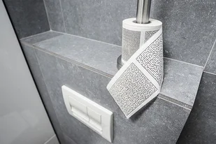 Gift World Gift World, Papier toaletowy, labirynt - Papier toaletowy - miniaturka - grafika 4