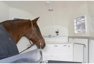 Kerbl Kerbl Smart kamera HD z baterią 10812 10812 - Kamery do monitoringu - miniaturka - grafika 2