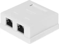 Wtyczki i adaptery - Netrack gniazdo kompletne natynkowe 2 x RJ45 8p8c FTP kat 6 LSA 106-13 - miniaturka - grafika 1