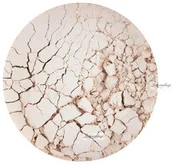 Pudry do twarzy - MAKE-UP Atelier Paris Puder połyskujący - 25 g - PLE0 - miniaturka - grafika 1