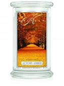 Świece - Kringle Candle ŚWIECA 623G AUTUMN AMBER - miniaturka - grafika 1