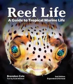 Pozostałe książki - FIREFLY BOOKS LTD Reef Life: A Guide to Tropical Marine Life - miniaturka - grafika 1